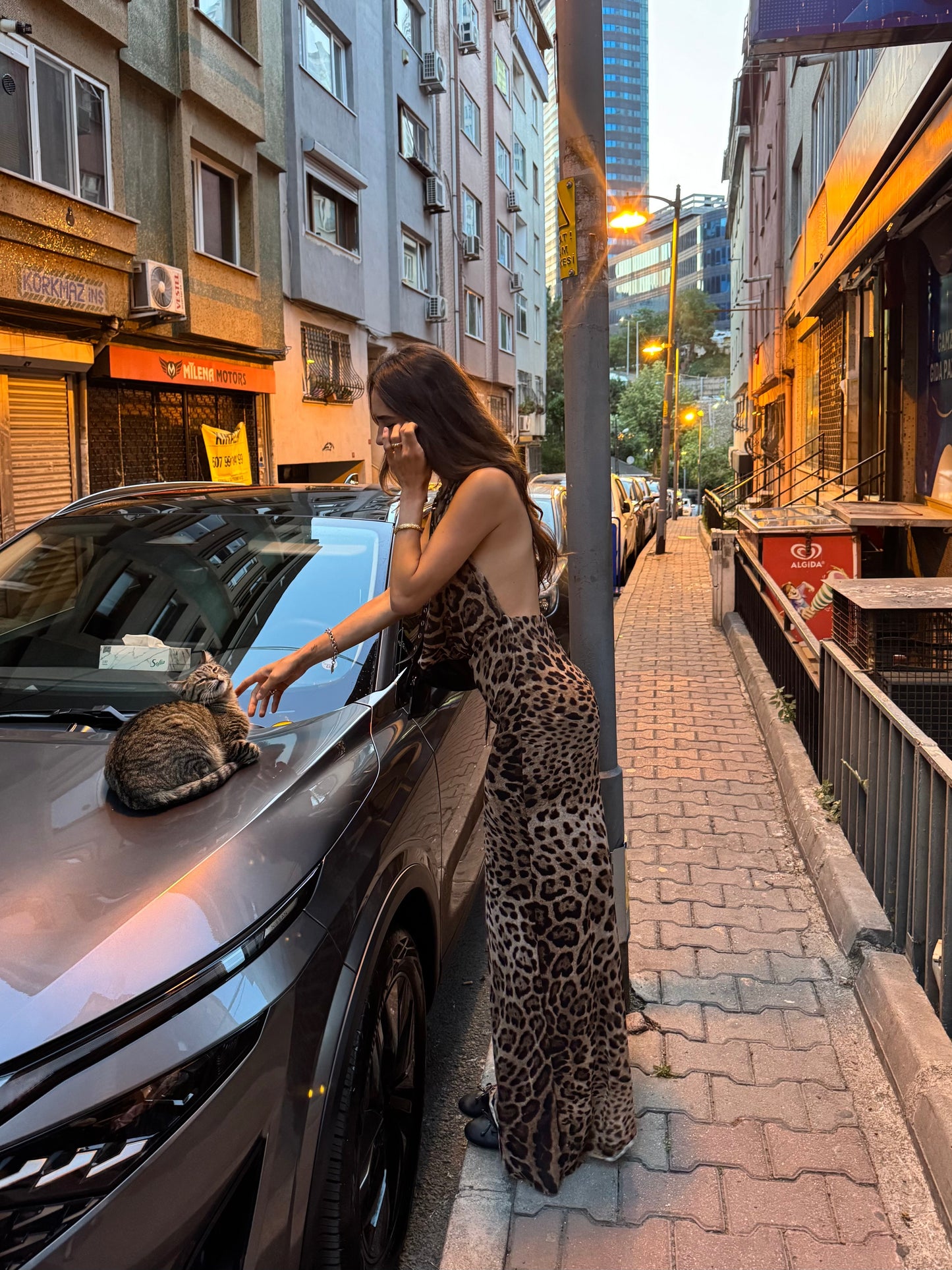 Cathalana™ - Tailored Leopard Print Dress